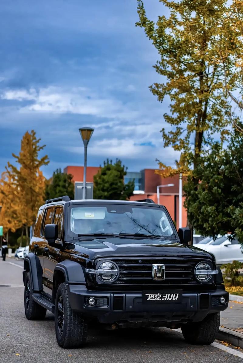 长城坦途克300真实油耗(长城坦途克500售价)