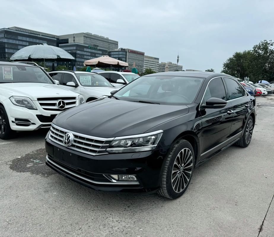 上海大众passat 上海大众passat什么车