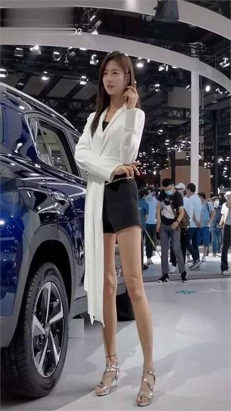 15届成都国际车展肉展 15届成都国际车展肉展名单