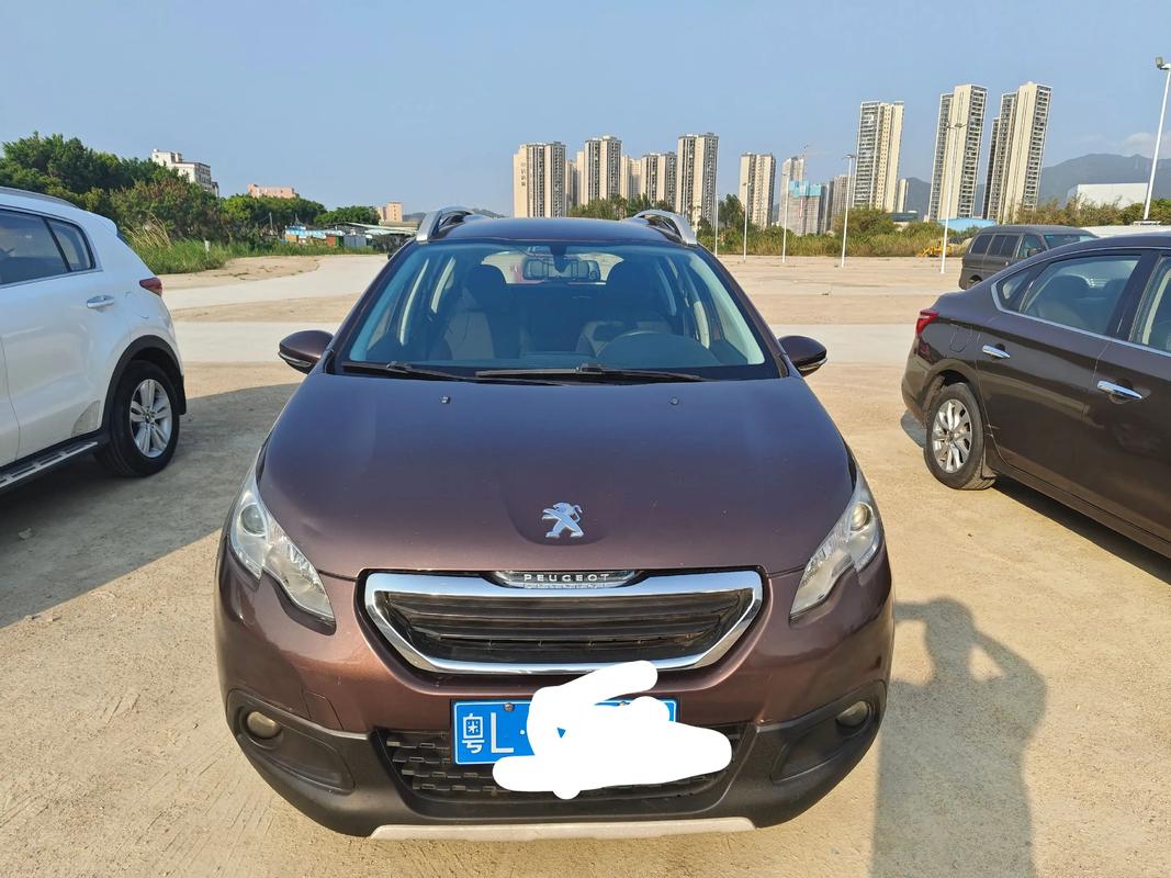东风标致是合资车还是国产车/东风标致是什么合资车