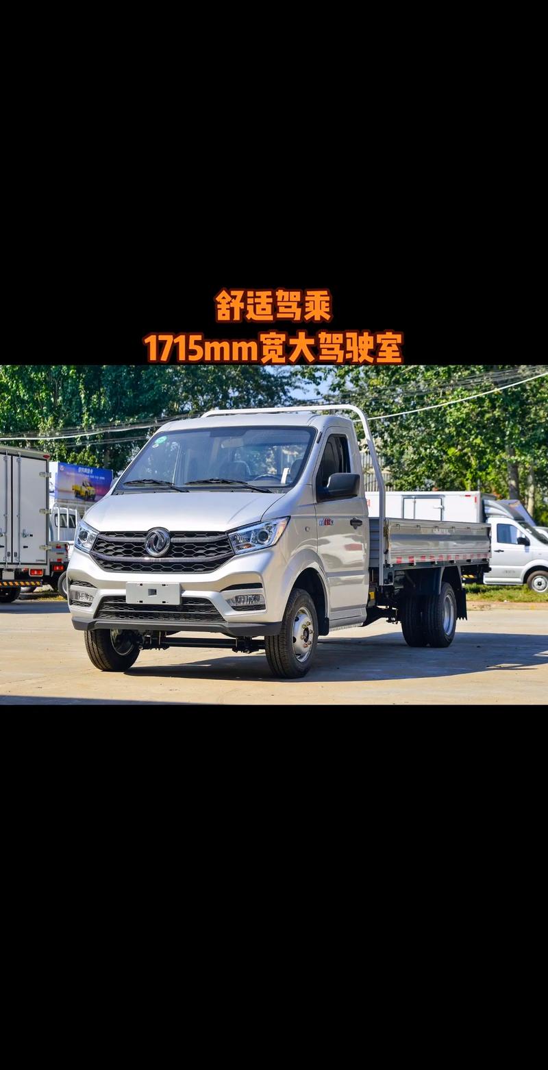 东风单排小货车报价及图片／东风单排10排量小货车